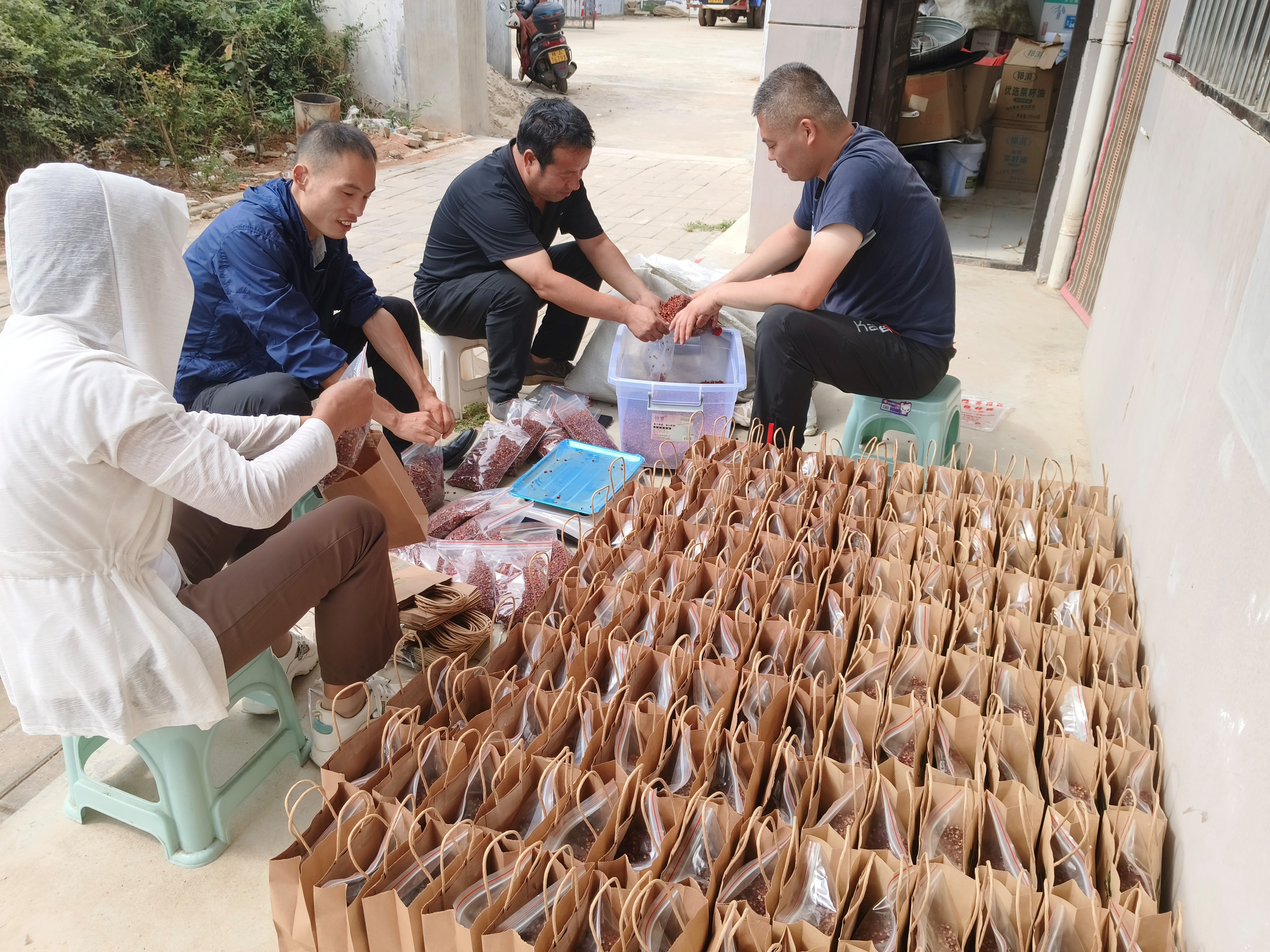 鄉村振興工作動態（第161期）