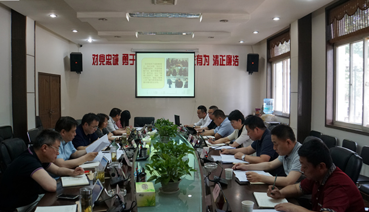 集團(tuán)黨委聽取所屬企業(yè)匯報黨建工作情況