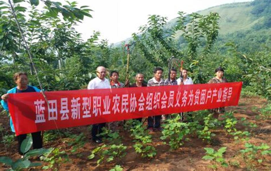 扶貧工作動態（第四十六期）